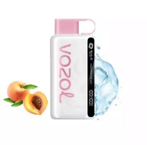 Vozol Star 12000 Peach Ice